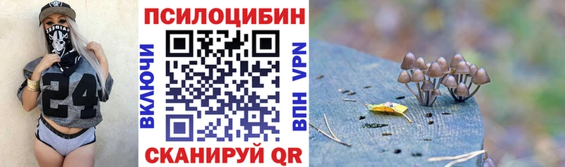 Галлюциногенные грибы MAGIC MUSHROOMS  Бологое 